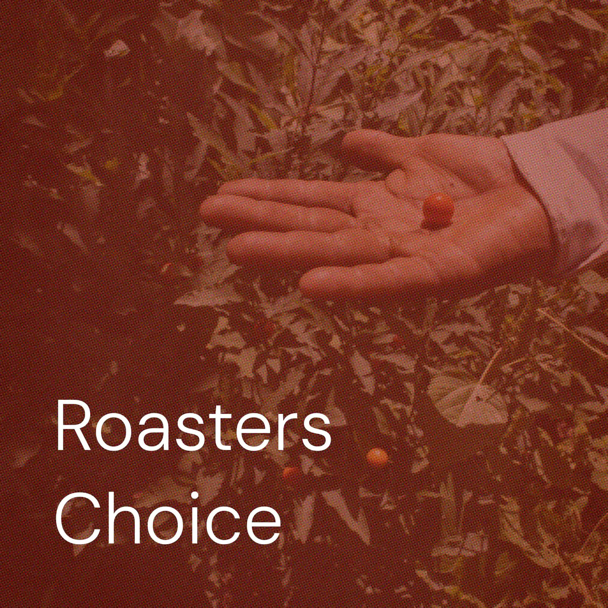 Roasters Choice Subscription