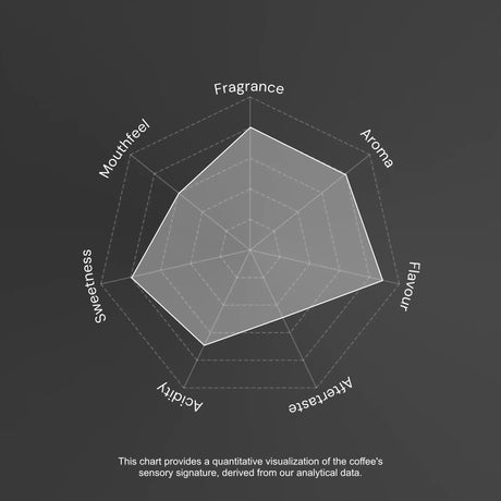 Sensory analysis chart for coffee with descriptors like 'Fragrance', 'Aroma', 'Flavour', etc.