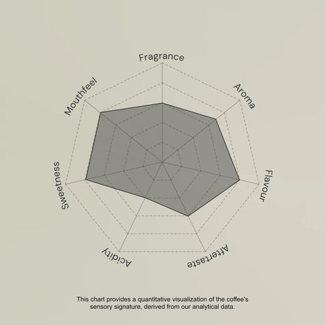 Radar chart evaluating coffee sensory attributes on a beige background