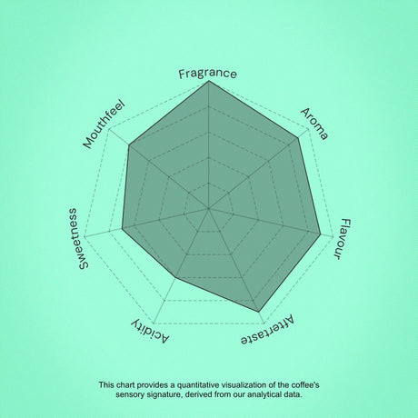 Hexagonal chart on a green background with text indicating coffee sensory attributes.