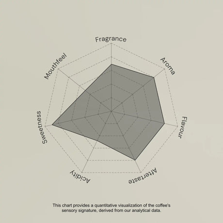 Radar chart evaluating coffee sensory attributes on a beige background