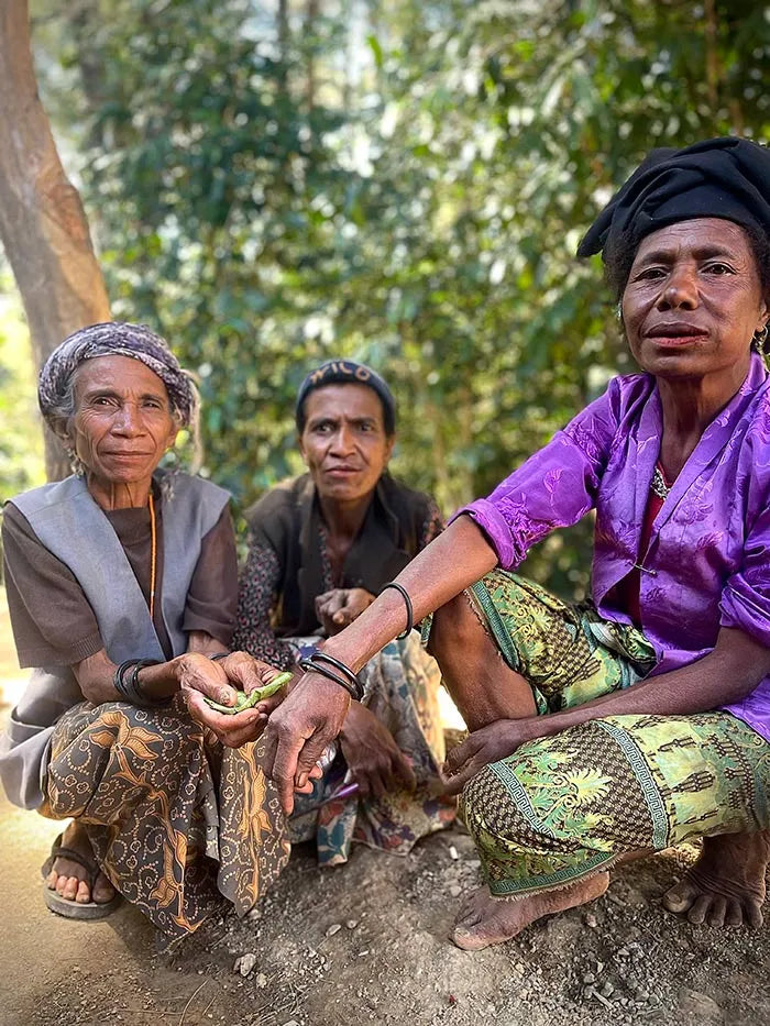 Three women sitting outdoors with trees in the background