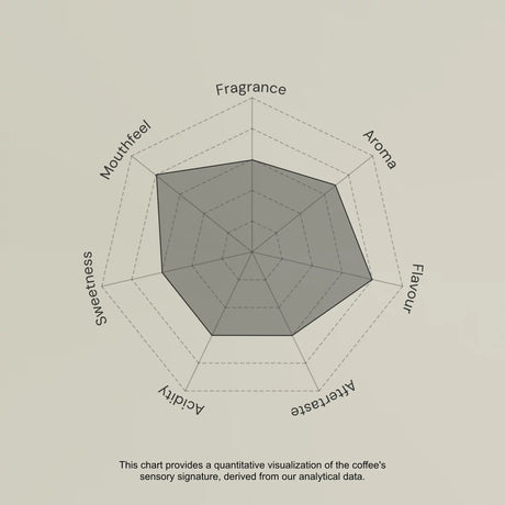 Radar chart evaluating coffee sensory attributes on a beige background