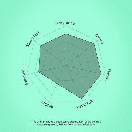 Radar chart on a green background with coffee sensory attributes