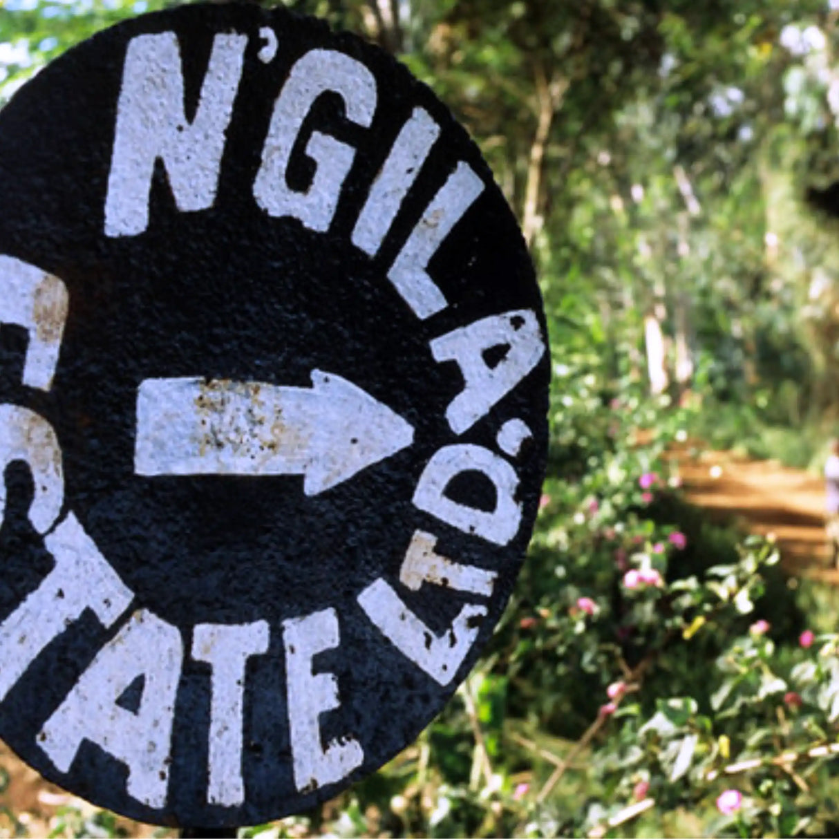 Ngila Estate SL28 - Tanzania