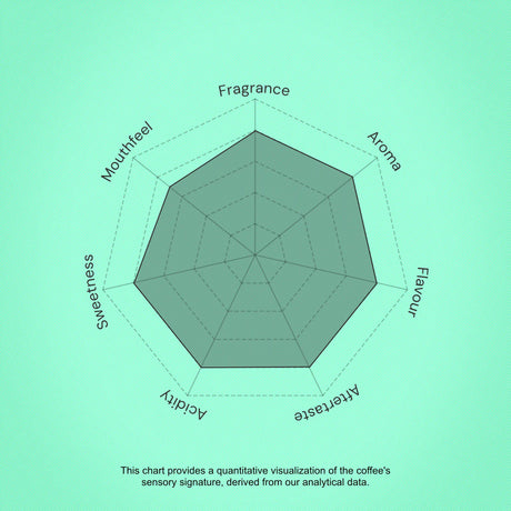 Coffee sensory profile chart with descriptors on a green background