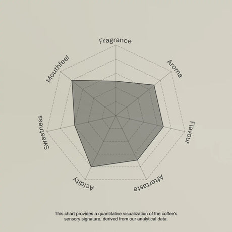 Spider web chart with sensory descriptors for a coffee product on a beige background