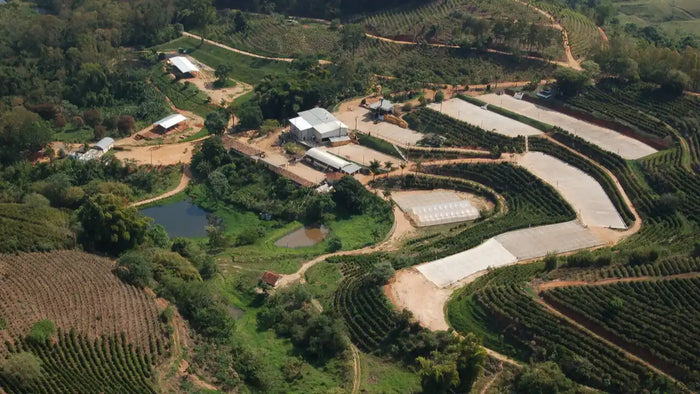 Aerial view of a rural farm landscape with terraced crop fields, several white-roofed buildings, a small pond, and winding dirt paths on rolling green hills.