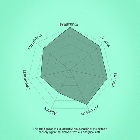 Hexagonal chart on a green background with text indicating coffee sensory attributes.