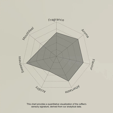 Radar chart evaluating coffee sensory attributes on a beige background