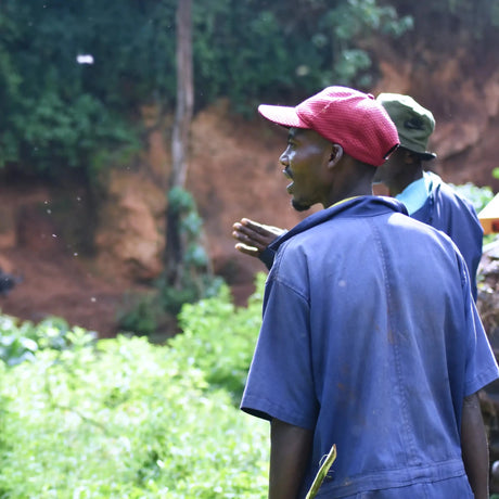 Ngila Estate Gesha - Tanzania - Artefact Coffee
