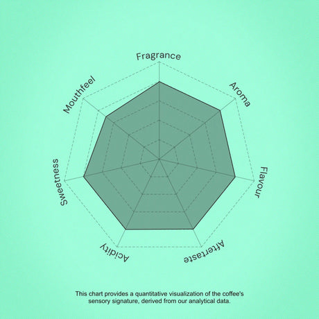 Coffee sensory profile chart with descriptors on a green background
